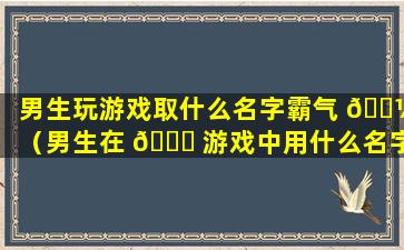 男生玩游戏取什么名字霸气 🌼 （男生在 🐋 游戏中用什么名字比较好）